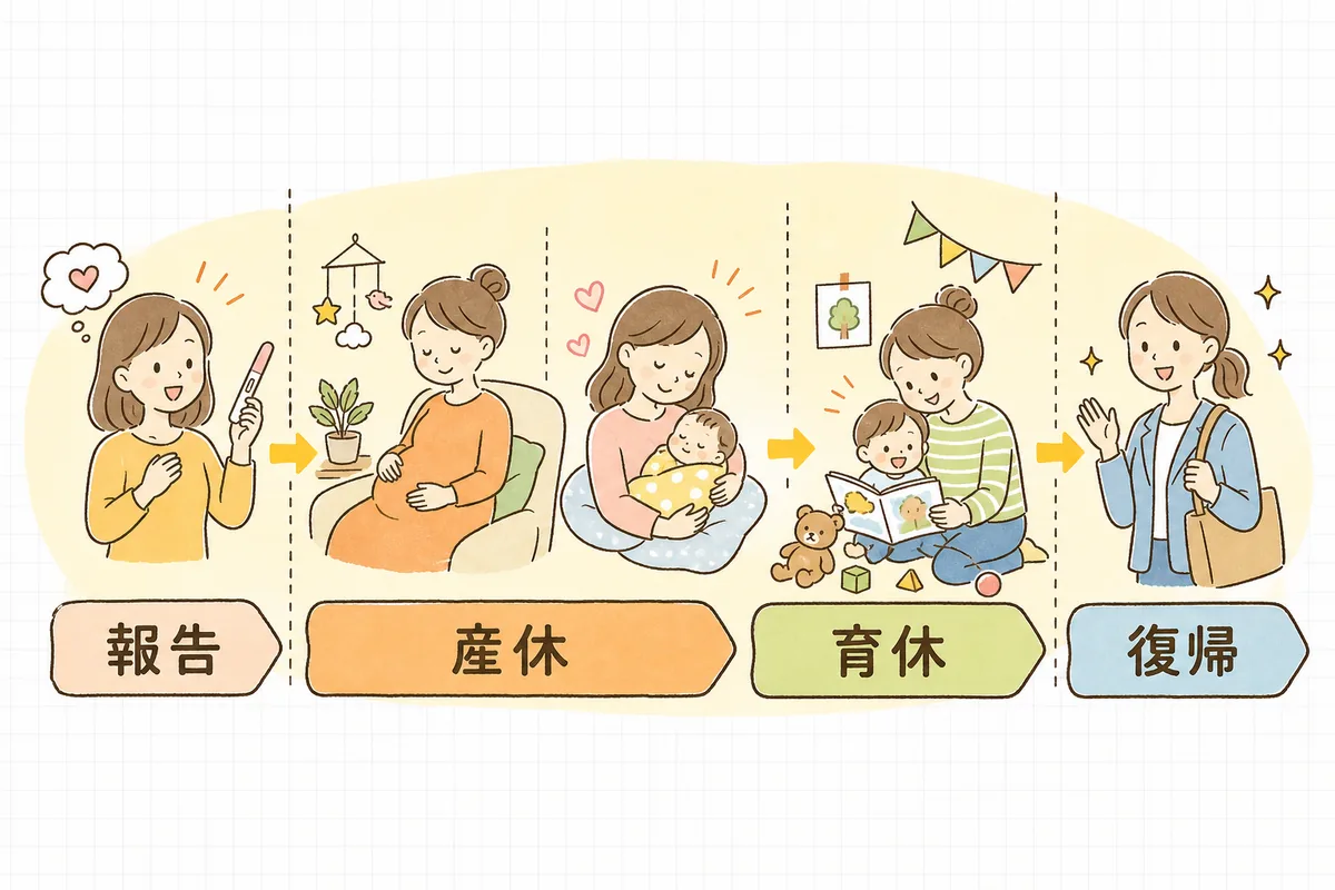 妊娠報告から産前休業・産後休業・育児休業・復帰までの時期の流れと、それぞれで必要な手続きを並べた図